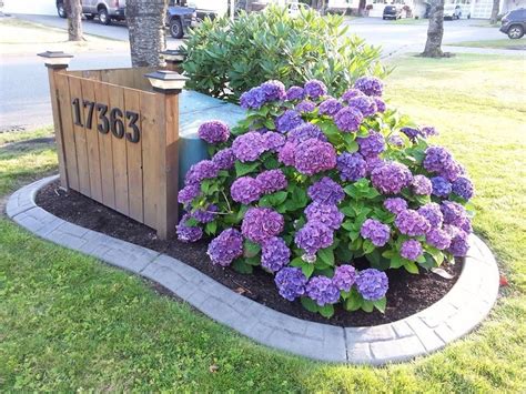 landscape ideas to hide utility boxes